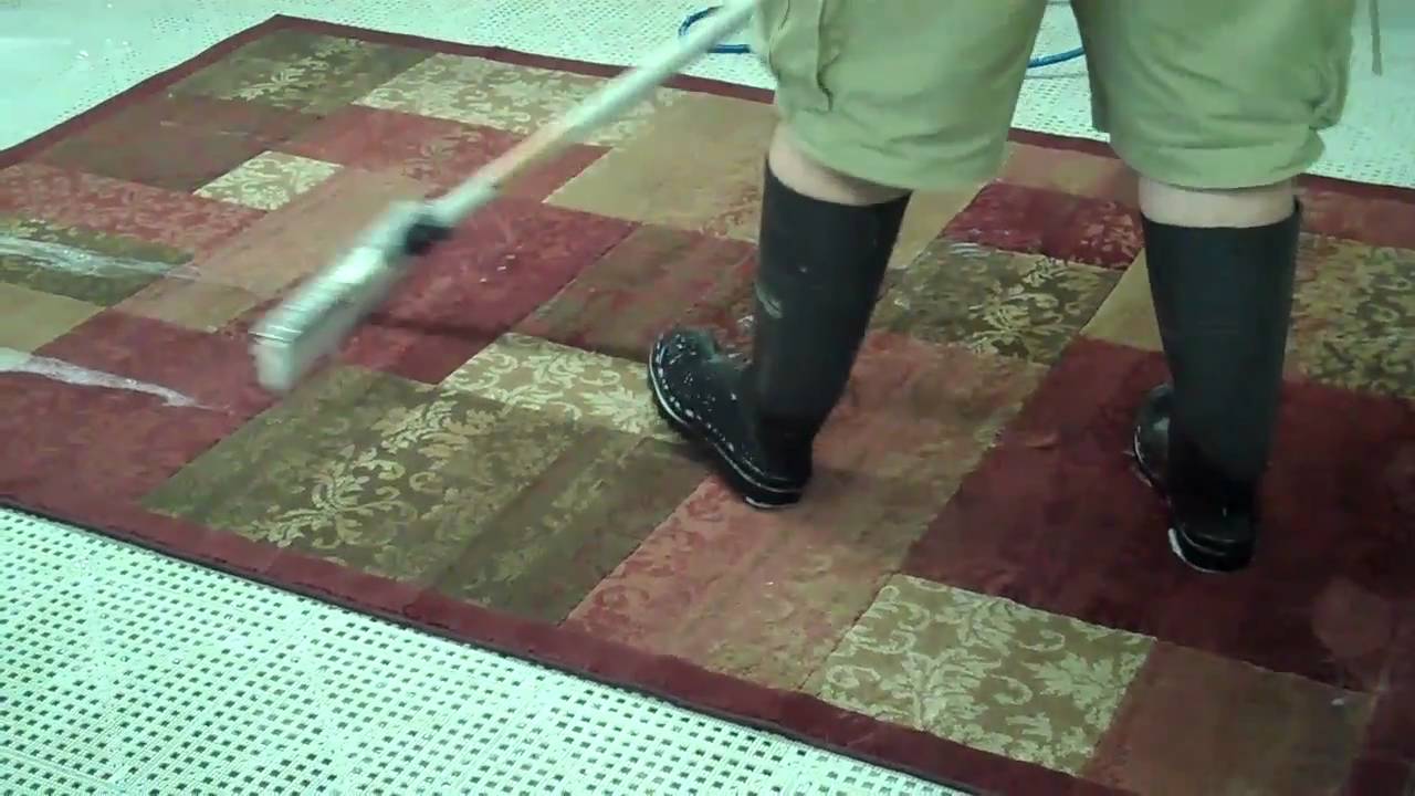 ST. Louis oriental rug pet soak YouTube