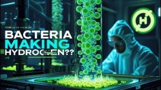 Green Fuels Breakthrough: Bio-Engineered Bacteria as Hydrogen Nanoreactors Profile