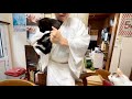 あまりにもスムーズに猫を懐インする住職すご