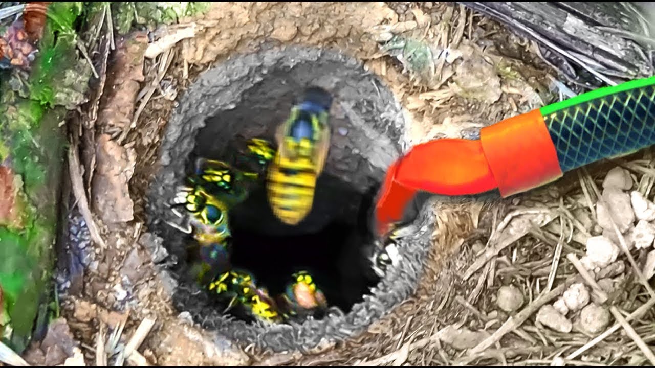 5 LIFEHACK CHE VI FARANNO COMODO NELLA VITA