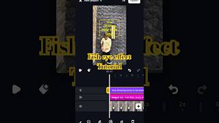 Fisheye effect | Tutorial | #trending #instagramtutorial #viral