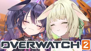 光葉エニの配信のサムネイル画像