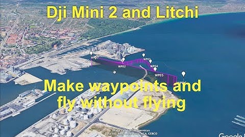 Fly Dji mini 2 with Litchi without flying