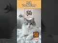 Most beginners write 猫 (Cat) WRONG — Learn the correct stroke order | HSK Level 1