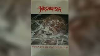 NECROPSIA (PT) - 1994 - Voracious Canibalism (Demo) #DEATH #GRIND