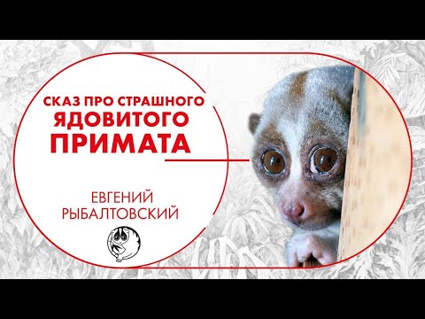 Сказ про страшного