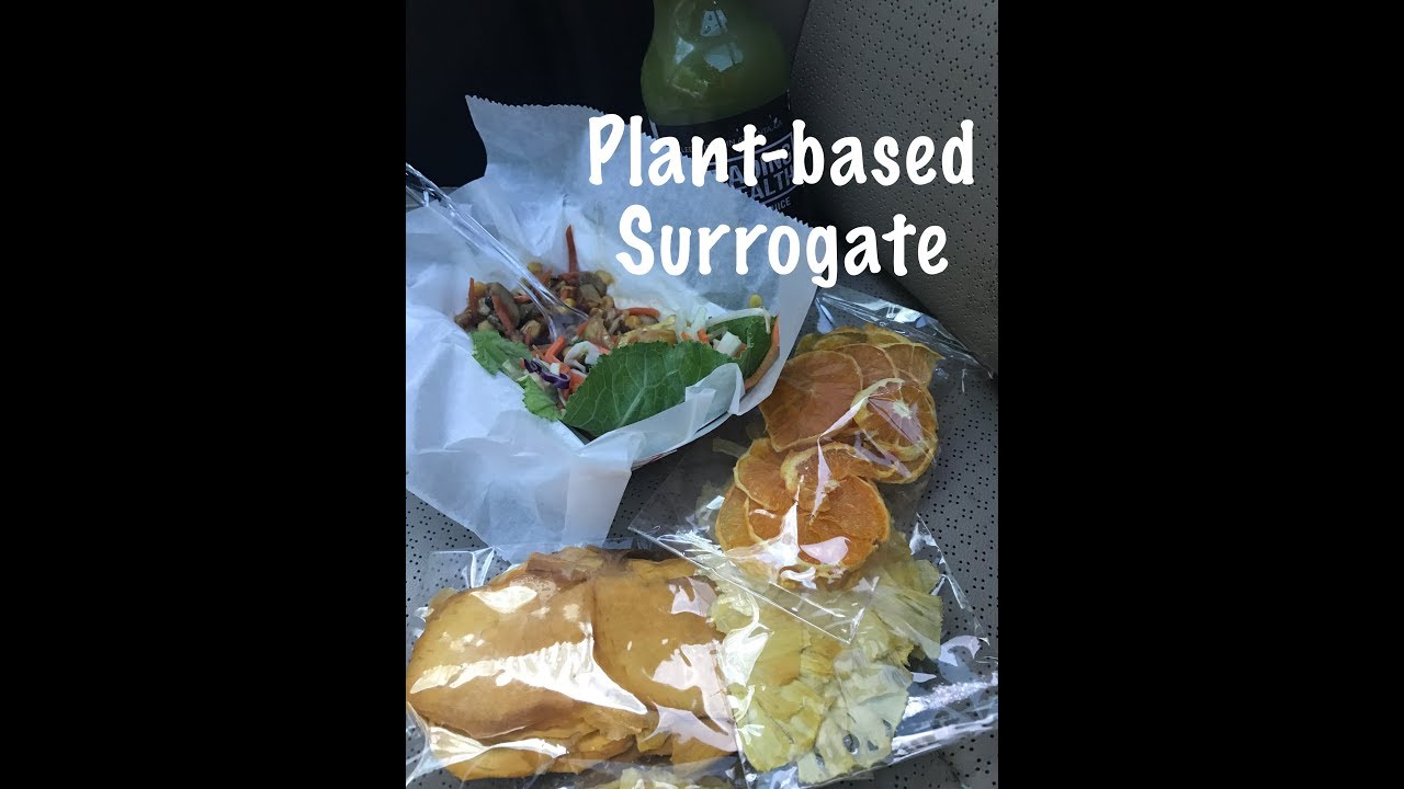 Surrogacy Nutrition Consultation