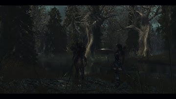 Skyrim SE - there are still never enough trees - Extreme Modded - with Blubbo ReShade 2018