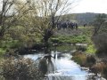 NSF MULLOON CREEK DEMONSTRATION PROJECT