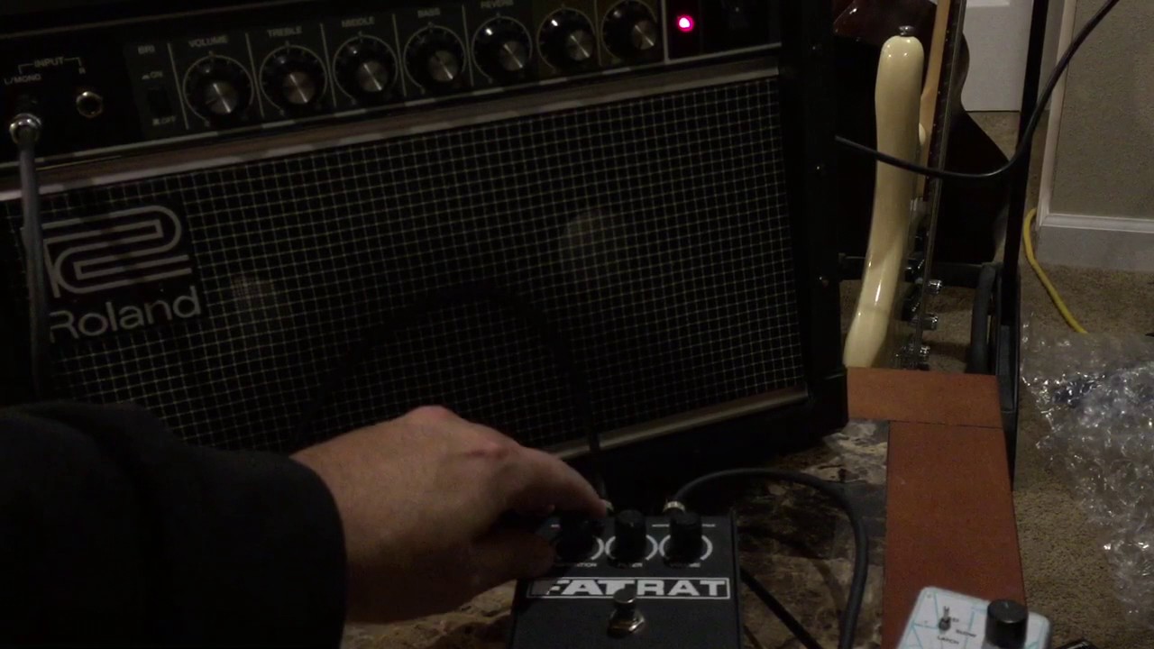 roland jazz chorus jc-22 and fat rat