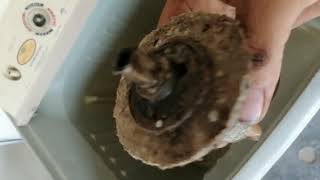 Washing Machine Ka Router Change Karna Hai Bmelectric Shop