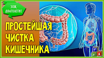 Какая мука лучше для кишечника