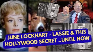 JUNE LOCKHART & THE SECRET LASSIE YOU DON’T KNOW - #history #hollywood #nostalgia 