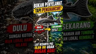 THEY SAID THIS FISH ! Cleans Rivers… But The Truth Shocked Everyone