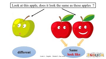 Grade 4   English    Module 9   Our World 2