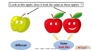 Grade 4   English    Module 9   Our World 2