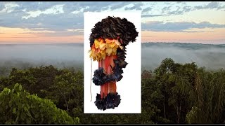 Download Lagu Mundurukú Headdress: a glimpse of life in the Amazon rainforest MP3