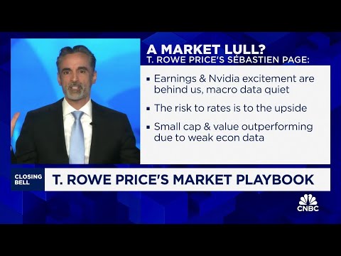 Investors should be close to their risk tolerance, says T. Rowe Price's Sebastien Page Episode cover