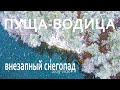 Первый и последний снег