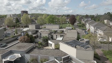 DJI Mavic Air 2 crash into a tree