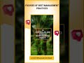 FOCUSES OF BEST MANAGEMENT PRACTICES