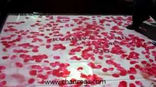 Interactive floor display for Khariwal Family Wedding Event