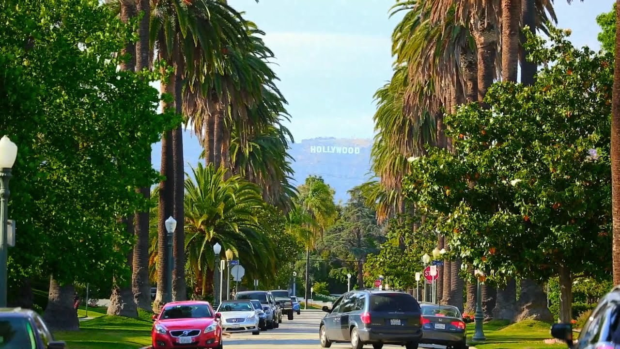 "COVID–19 Etiquette: A Public Service Announcement"