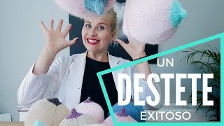 Como Destetar A Tu Bebé Baby Suite By Pau