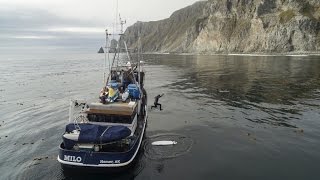 Searching the Shumagin islands  Alaska surf discovery