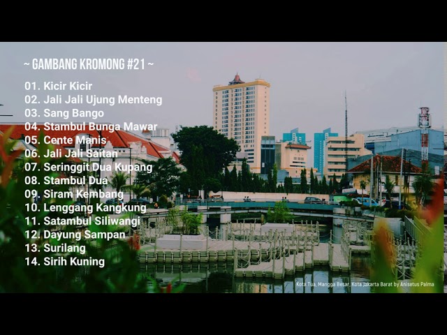preview_player