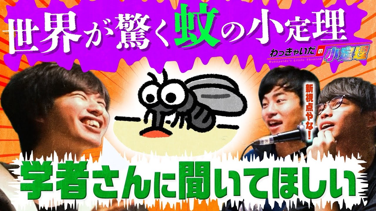 わっきゃいだの小定理 #19 （2025年10月7日放送分）