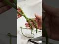 How to tie a rope #subscribe