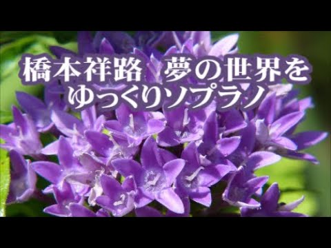 橋本祥路　夢の世界を　ゆっくりソプラノ　「ニューコーラスフレンズ」より