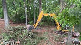 Cleaning Up Some Felled Trees and Burning Them in the Pit