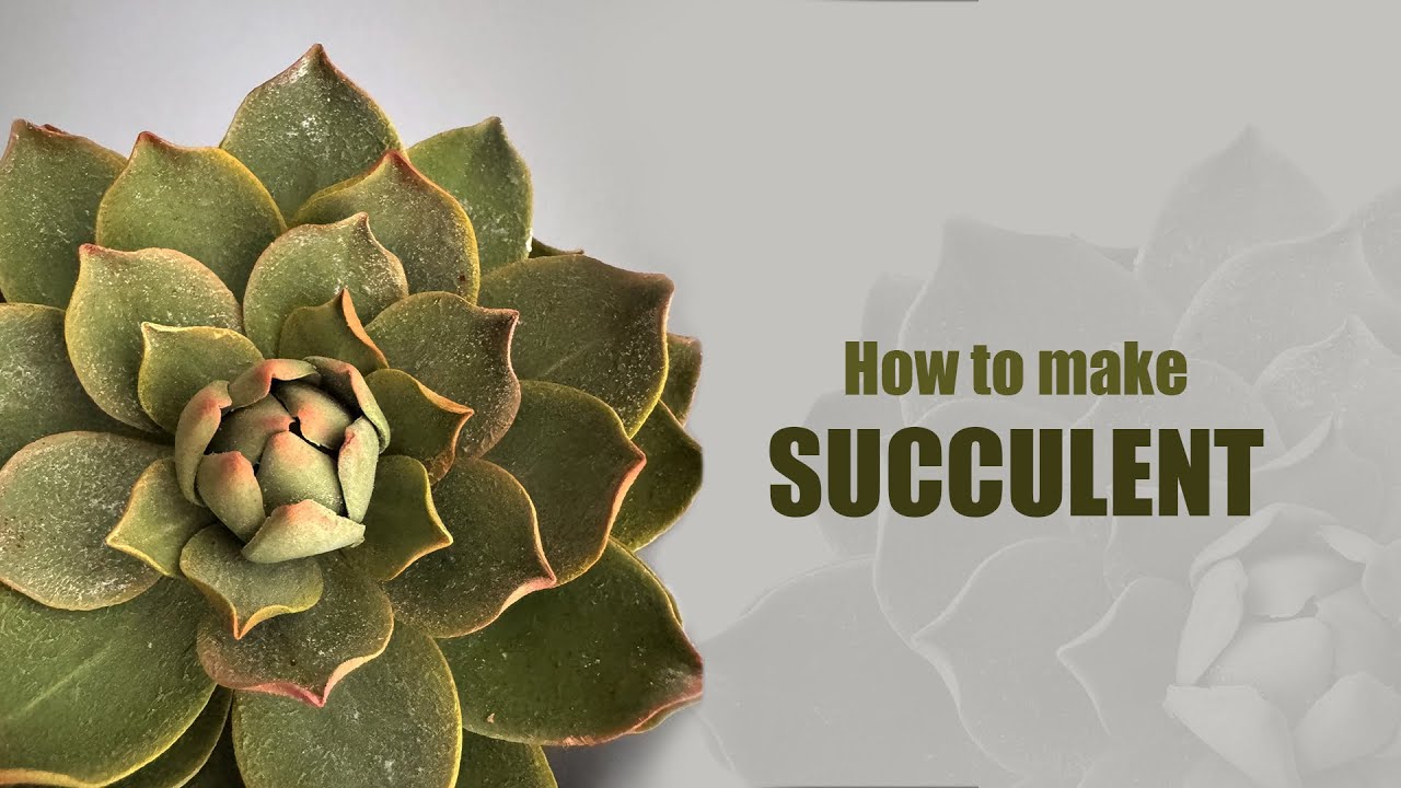Fondant/Gumpaste/Sugar succulent tutorial
