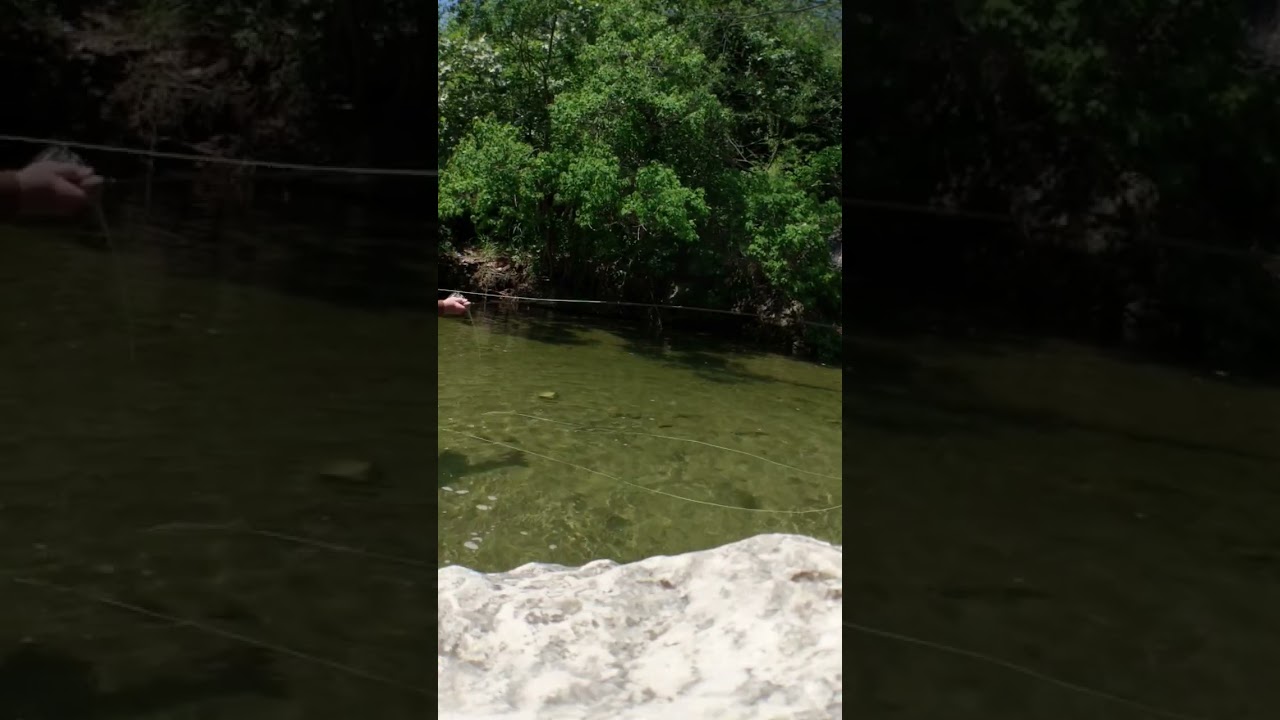 Obejrzyj fly fishing a TX underrated river, bass + bluegill w YouTube Obejrzyj fly fishing a TX underrated river, bass + bluegill w YouTube