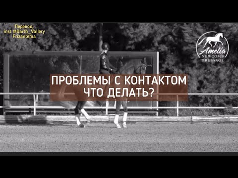 Контакт со ртом лошади. Проблемы и решения