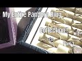 Pandora Ring Collection Pt 3 | March 2020