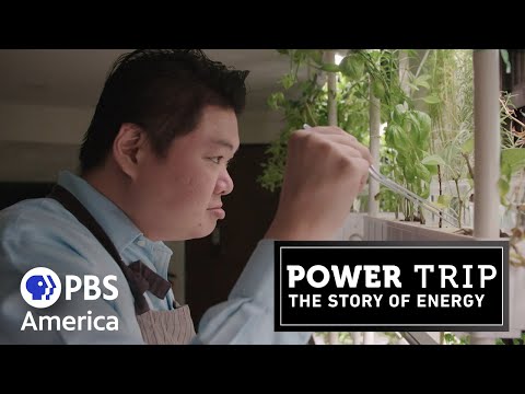 Power Trip The Story of Energy Food 2020 Full Documentary