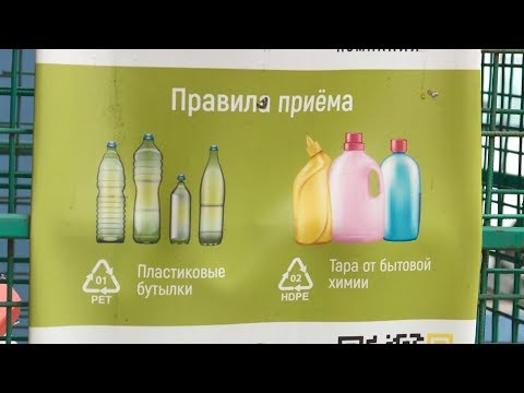Переработка пластика: что может сделать каждый из нас для окружающей среды?