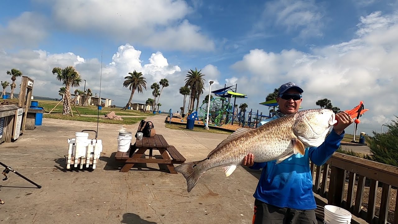 Excellent fishing spot / Seawolf Park, Galveston Texas 낚시 텍사스 YouTube