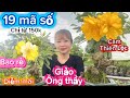12-10-2025☎️0879 718 454📲mai vàng giá rẻ🌲19 mã sô giá cực rẻ