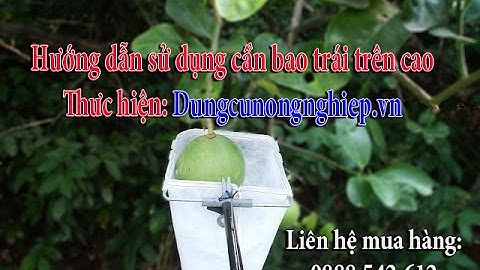 Cách Sử Dụng Cần Bao Trái Trên Cao | Dungcunongnghiep.vn | 0888.542.612