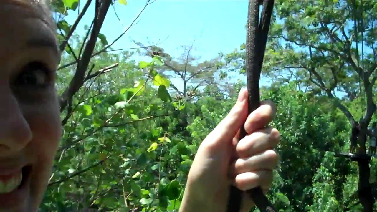 Ziplining. - YouTube