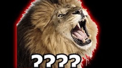 15 "Lion Roaring" Sound Variations in 30 Seconds