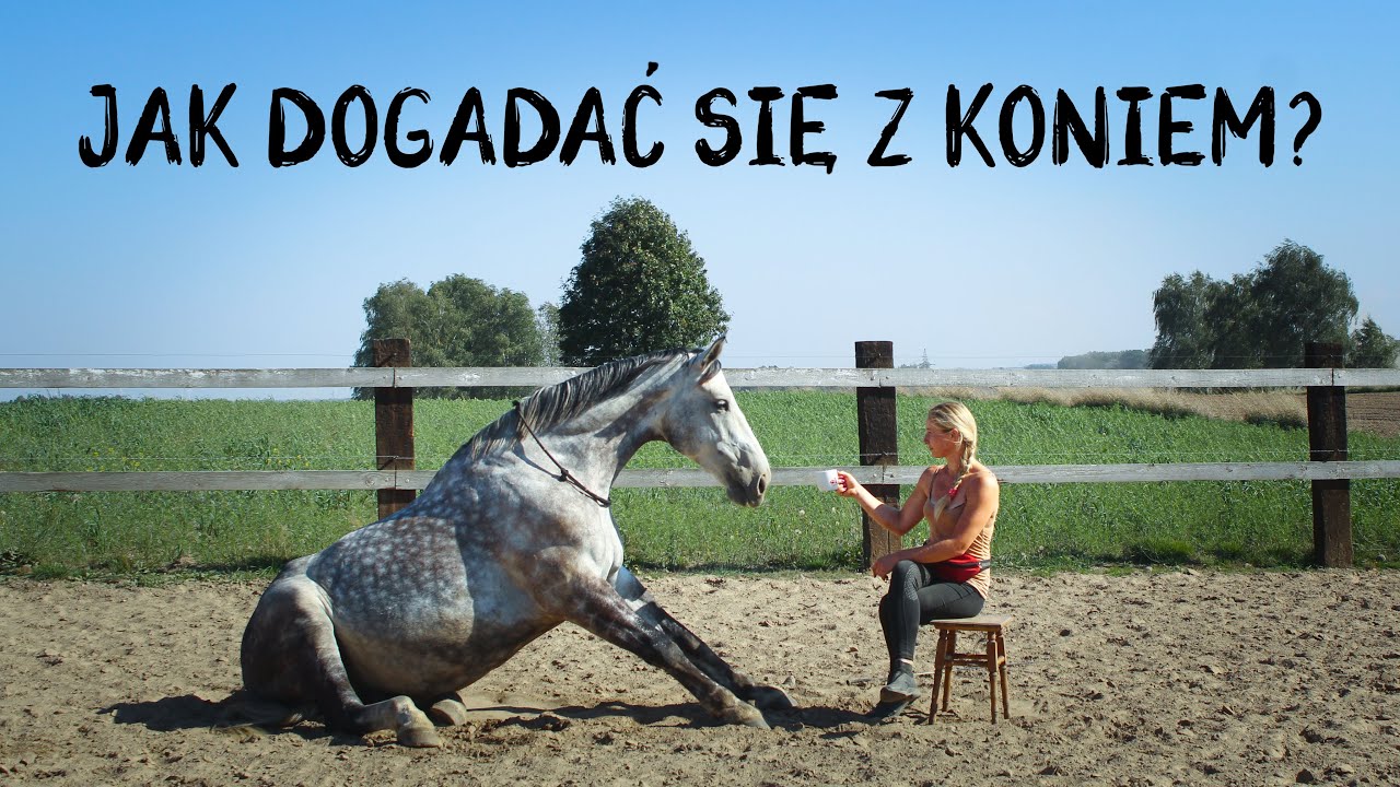 КАК ПОДРУЖИТЬСЯ С ЛОШАДЬЮ