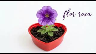 Flor roxa (suno v4.5)