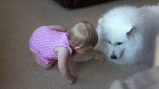 Lexi chases Nika by Tom Brown 303,340 views 7 years ago 2 minutes, 8 seconds