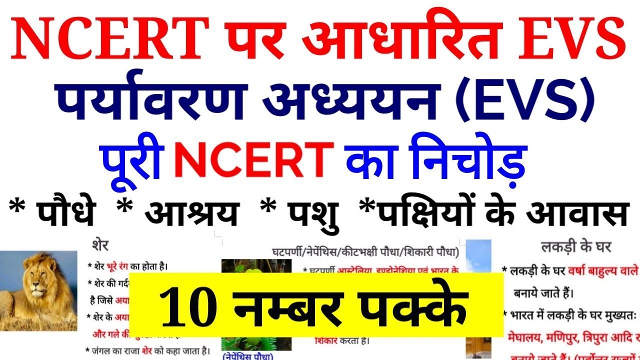 CTET EVS: NCERT का पूरा 'निचोड़' 🔥 | पौधे, आश्रय, पशु और पक्षी | 10 नंबर पक्के! | Complete EVS