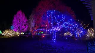 NIGHT LIGHTS 2021 10 - Lawn Garden 3